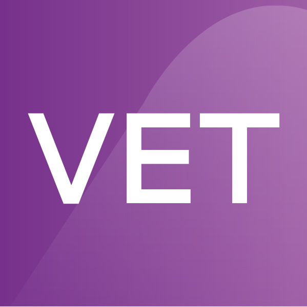 VETiS – VET in Schools