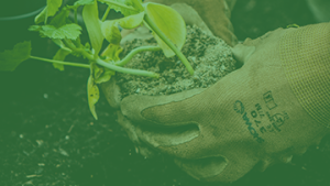 Certificate I in Conservation and Ecosystem Management